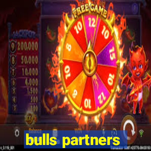 bulls partners